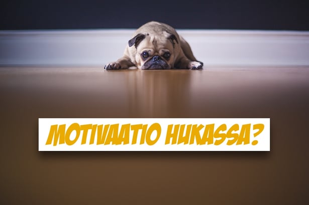 blogi-motivaatio.jpg