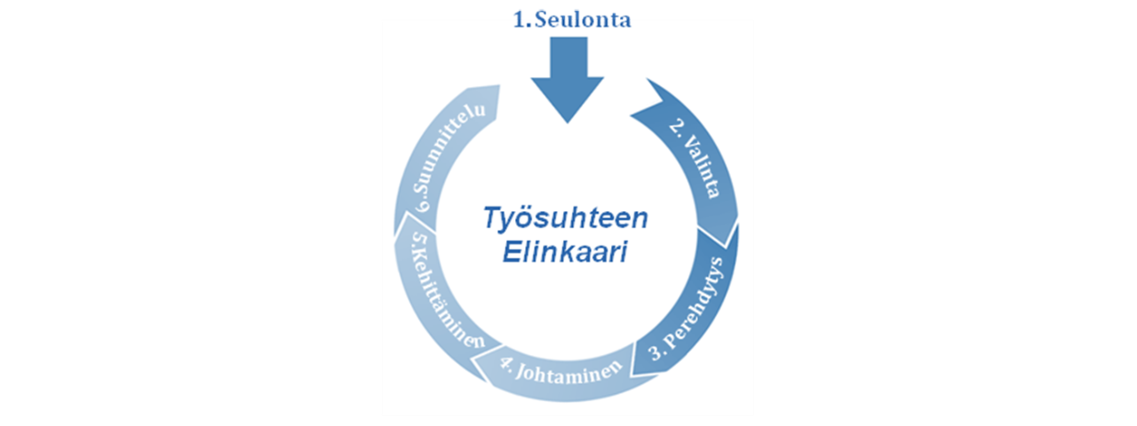 Henkilöarviointi Elinkaari