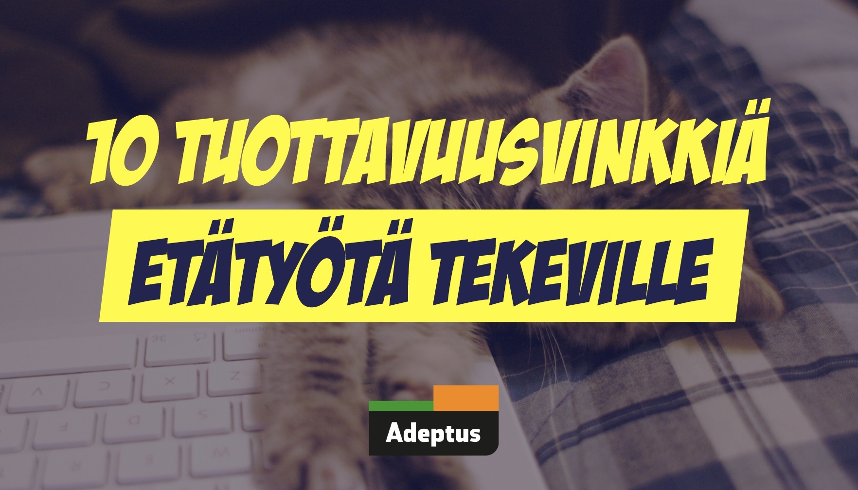 10 tuottavuusvinkkiä etätyötä tekeville